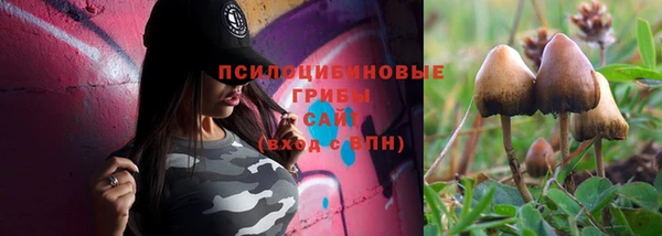 прущая мука Переславль-Залесский