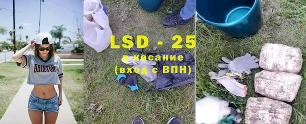трава Пересвет