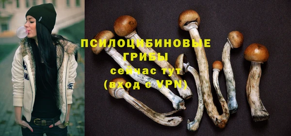 трава Пересвет