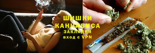 трава Пересвет